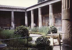 [house of the Vettii in Pompeii]