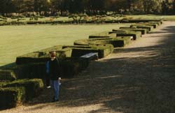 [Fishbourne hedges]